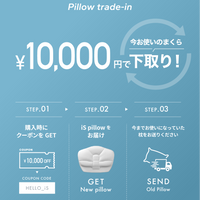 iS pillow SW-S20