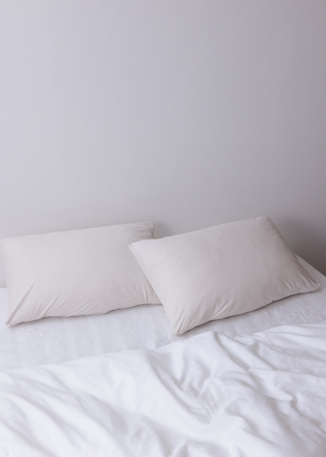 オーセンティック コットンジャージー イージーフィット ピローケース