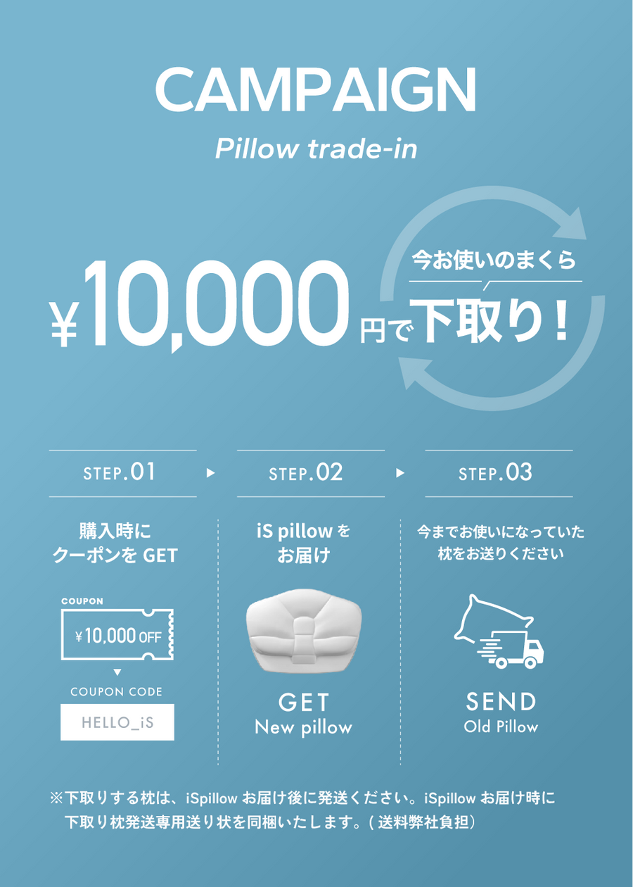 iS pillow SW-S20